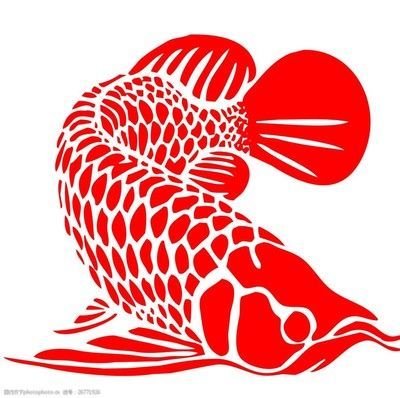 龍魚的寓意和象征是什么：龍魚在風水中的具體應用