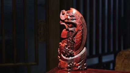 龍魚的寓意和象征是什么：龍魚在風水中的具體應用