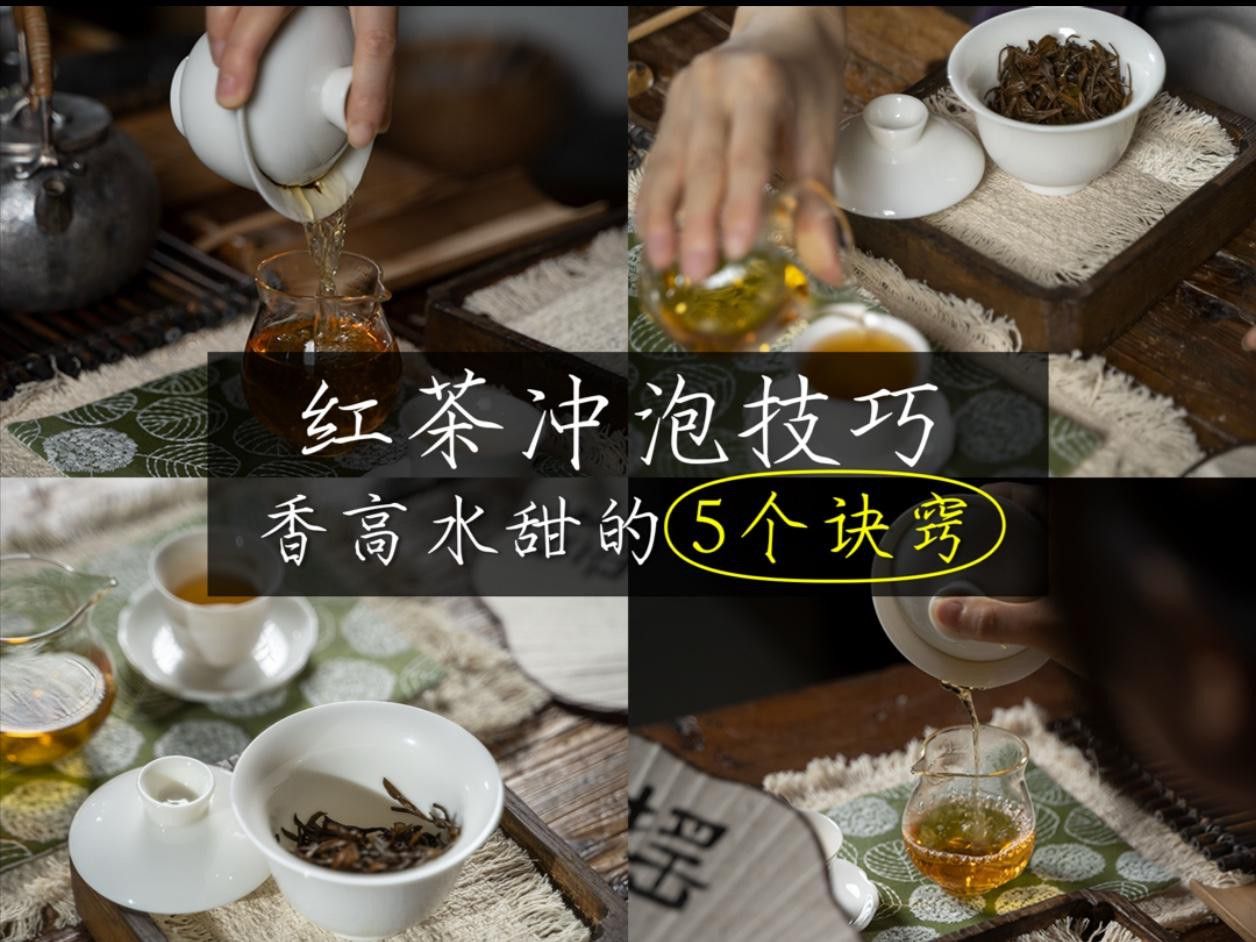 帝王紅龍茶葉的沖泡方法 帝王紅龍茶葉的沖泡方法 龍魚百科 第8張