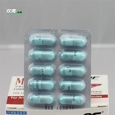 龍魚立鱗怎么治療大神指點(diǎn)：如何治療龍魚立鱗病
