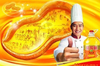 金龍魚廣告專家團隊：金龍魚廣告專家團隊成功打造多項廣告行業的殊榮