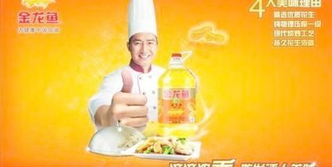 金龍魚廣告專家團隊：金龍魚廣告專家團隊成功打造多項廣告行業的殊榮