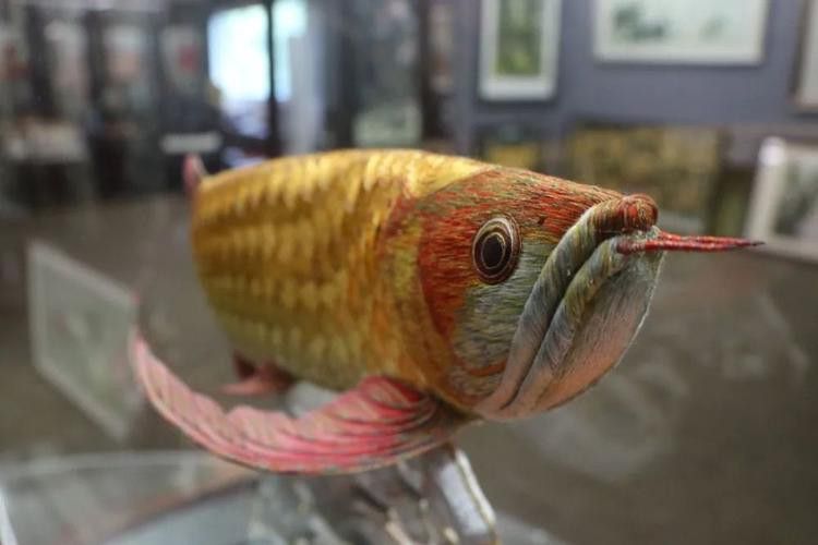康惠芳的潮繡《金龍魚》有哪些歷史故事？