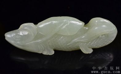 金龍魚代表什么寓意