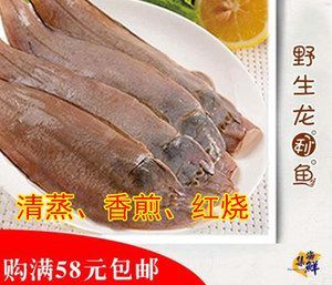 龍魚食物海魚：龍魚可以吃海魚嗎