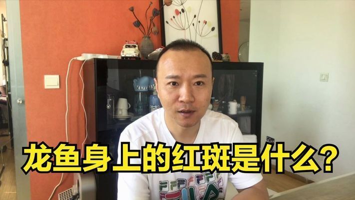 龍魚長斑點了是怎么回事：龍魚身上出現斑點可能是多種原因引起的，飼養者應注意