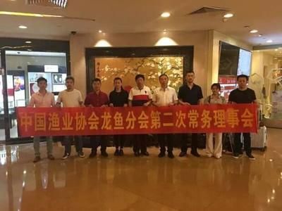 廣州龍魚(yú)比賽特殊組隊(duì)有哪些：2017長(zhǎng)城杯龍魚(yú)比賽廣州龍魚(yú)比賽特殊組隊(duì)名單
