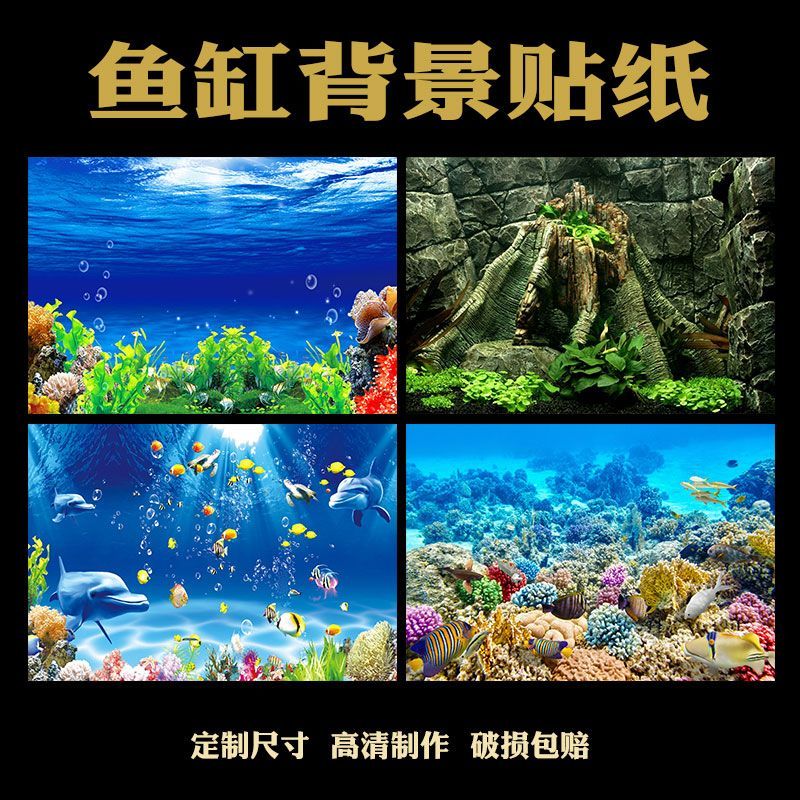 養紅龍魚魚缸背景顏色要求是多少：養紅龍魚時選擇黑色或藍色作為魚缸背景顏色是最佳實踐