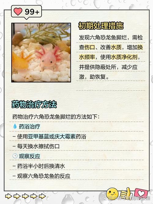 六角龍魚被咬