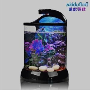 金龍魚藍底魚缸可以養嗎視頻：金龍魚在藍底過背景的魚缸養金龍魚藍底魚缸養殖注意事項