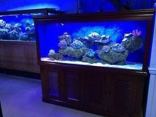 魚缸多少錢一個月用電量（如何計算魚缸設備能耗魚缸用電量節省技巧）