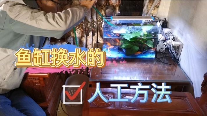 魚缸不用換水的設備叫什么，免換水魚缸的過濾系統