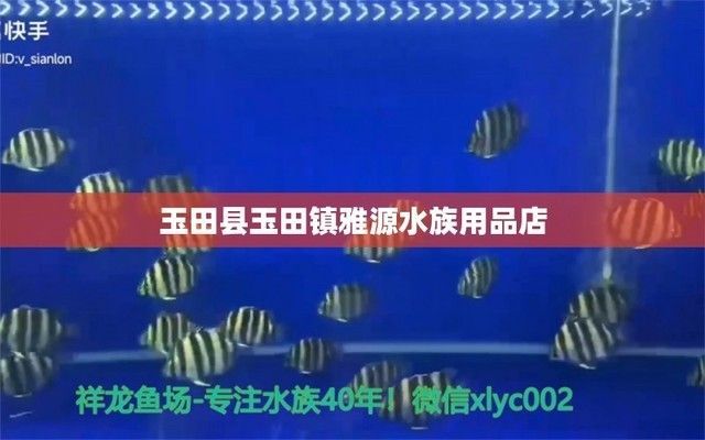 龍魚寄生蟲感染癥狀有哪些表現：龍魚寄生蟲感染的癥狀