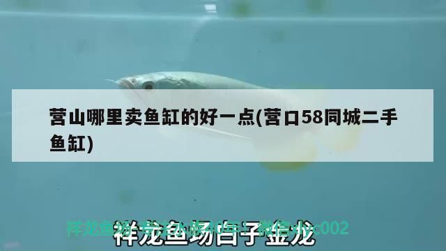 觀賞魚 營山哪里賣魚缸的好一點(營口58同城二手魚缸) 龍魚百科 營山哪里賣魚缸的好一點(營口58同城二手魚缸) 營山哪里賣魚缸的好一點(營口58同城二手魚缸) 龍魚百科