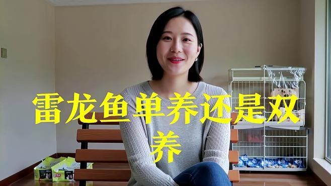 雷龍魚群養(yǎng)還是單養(yǎng)好