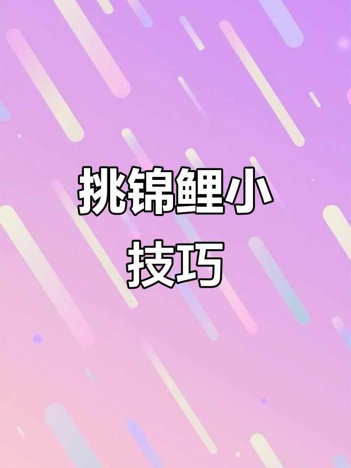 如何挑選高質量的錦鯉魚？