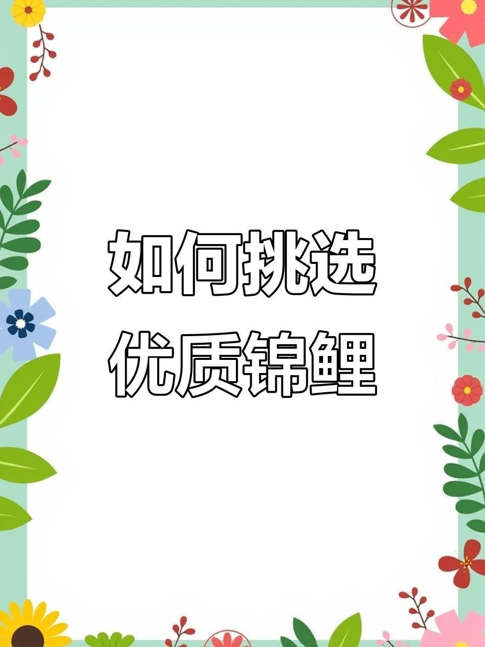 如何挑選高質量的錦鯉魚？