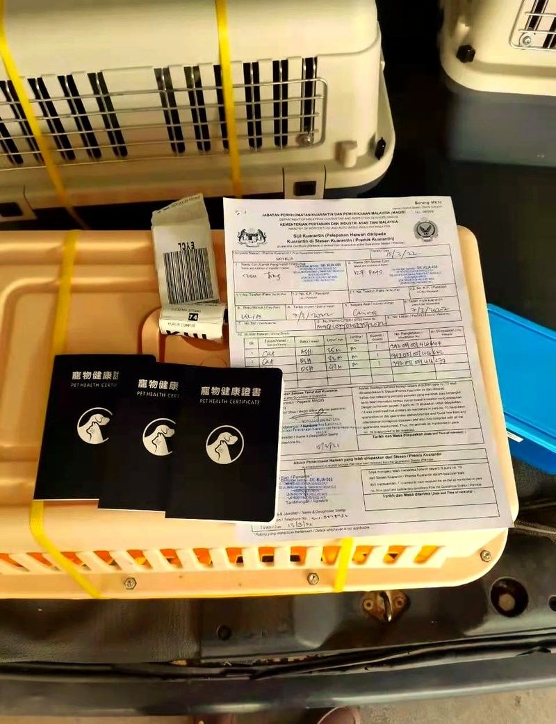 馬來西亞龍魚托運需要多少錢一個小時