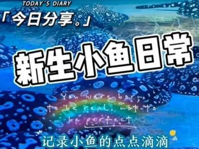 博士龍魚缸怎么樣（博士龍魚缸在市場上有一定的知名度）