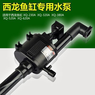 西龍魚缸專業評測,不看后悔（西龍魚缸怎么樣）