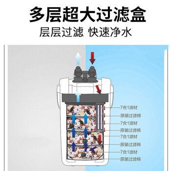 紅龍魚喂什么飼料好養活一點呢（紅龍魚喂什么飼料好養活一點呢視頻）