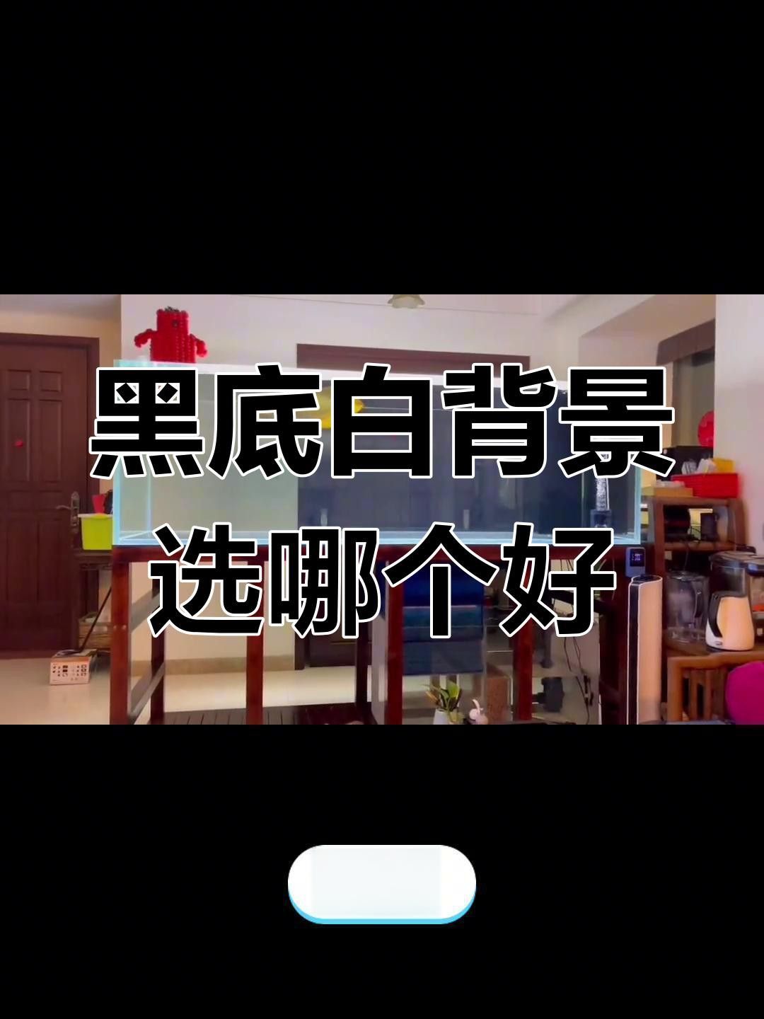 哪種背景最適合拍攝紅龍魚？