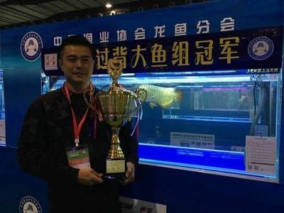 龍魚協會唐玉軍怎么樣，中國漁業協會龍魚分會副會長范則萍介紹文建強在龍魚協會的角色