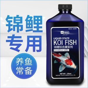 龍魚白點病和水霉病的區別：養龍魚白點病的注意事項