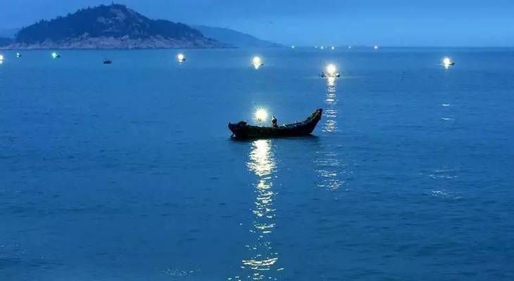 龍魚如何養殖視頻大全：龍魚如何養殖，全面指南與實用視頻推薦