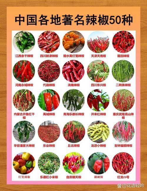 辣椒種類圖帶名稱大全