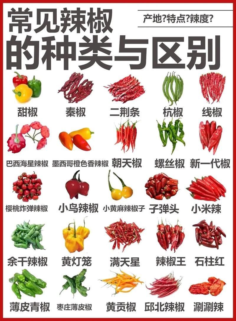 辣椒種類圖帶名稱大全