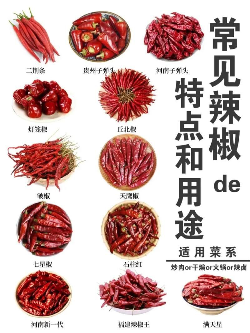 辣椒種類圖帶名稱大全