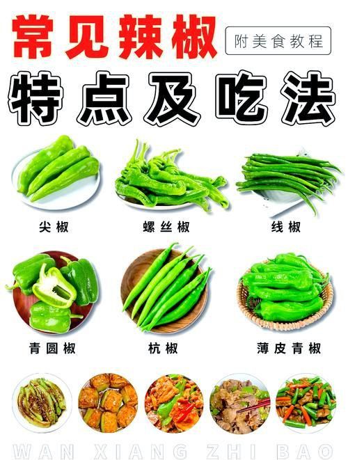 辣椒種類圖帶名稱大全