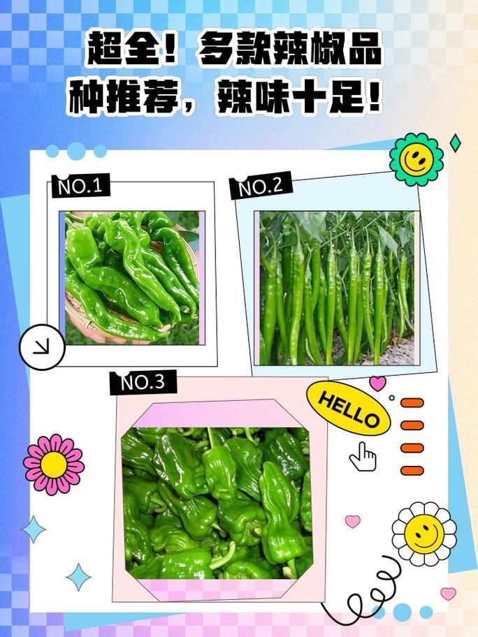 辣椒種類圖帶名稱大全