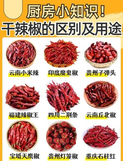 辣椒種類圖帶名稱大全