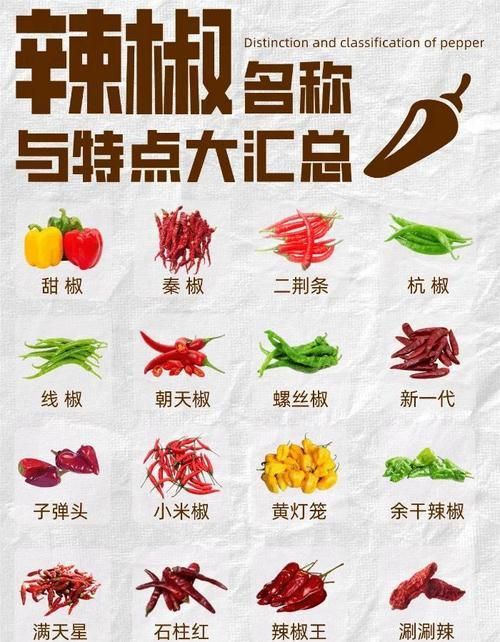 辣椒種類圖帶名稱大全