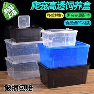 六角恐龍魚專用缸能養幾條，六角恐龍魚養殖數量