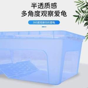六角恐龍魚專用缸能養幾條，六角恐龍魚養殖數量