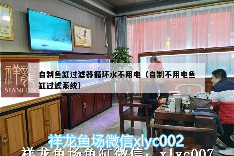 自制魚缸過濾器循環(huán)水不用電（自制不用電魚缸過濾系統(tǒng)）