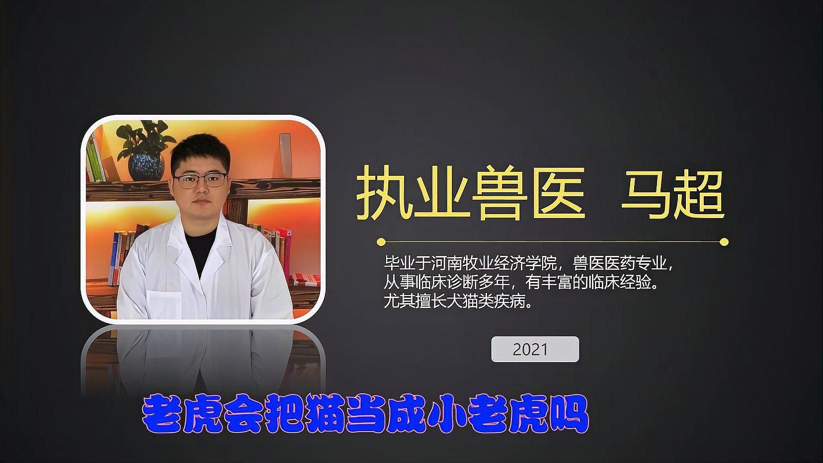 老虎會把貓當(dāng)小老虎嗎