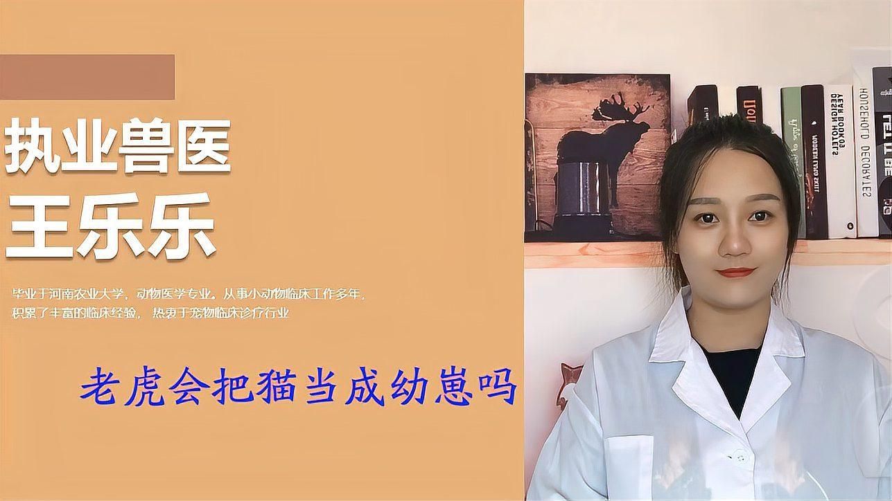 老虎會把貓當(dāng)小老虎嗎