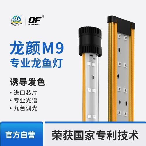 龍魚燈的價格范圍是多少？