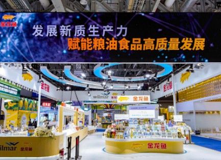 金龍魚的公司結(jié)構(gòu)