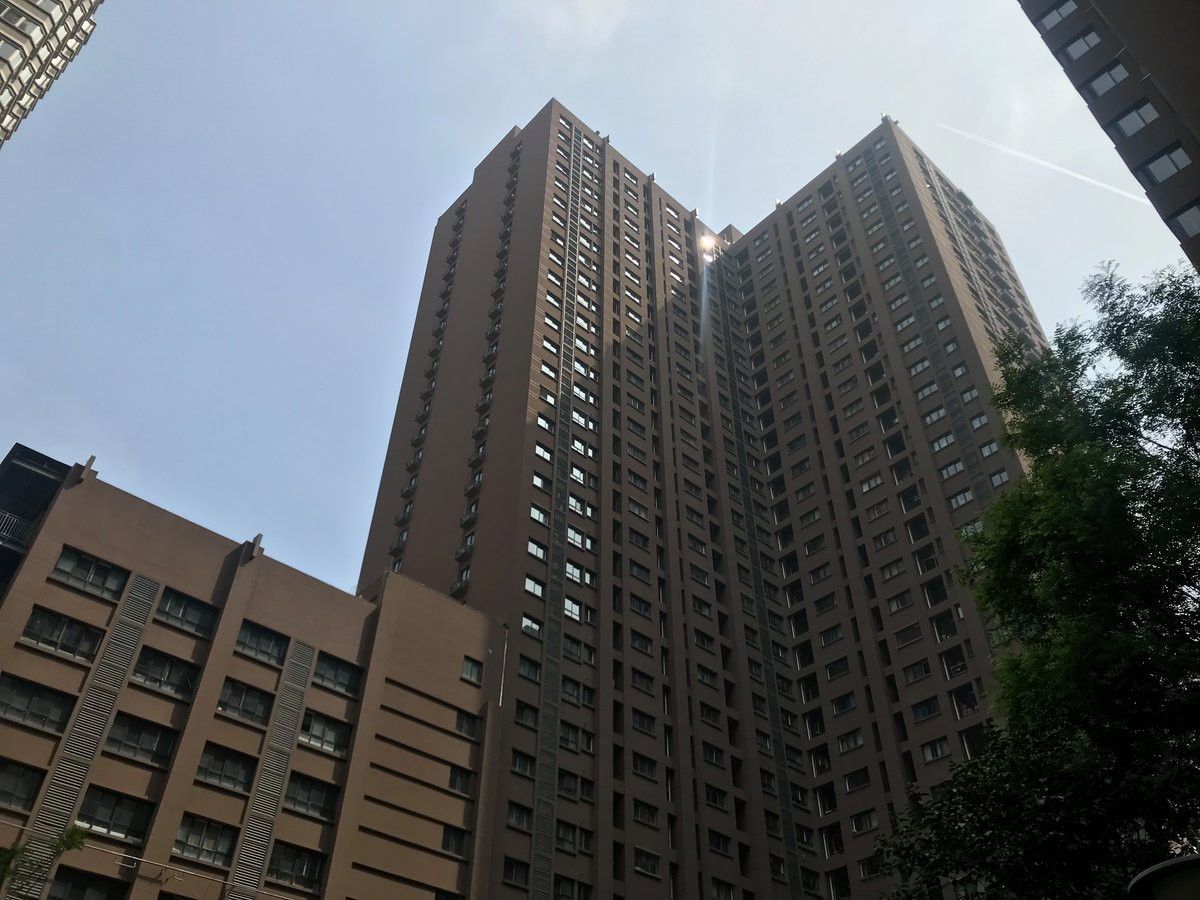侯龍儔和馮潔有沒有后代