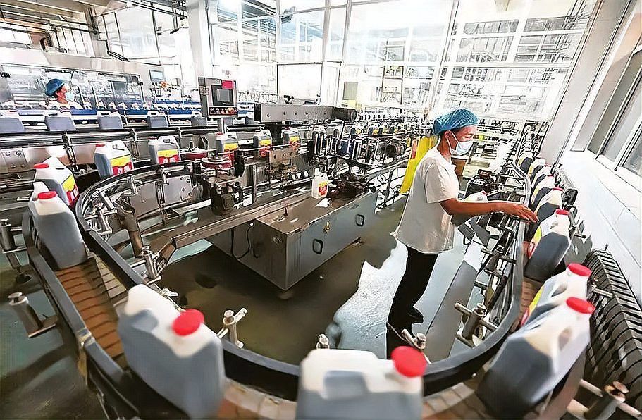 金龍魚山西分公司怎么樣