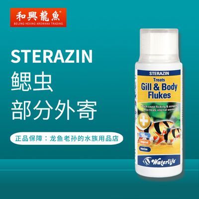 龍魚老孫的水族用品店：北京龍魚老孫水族用品店