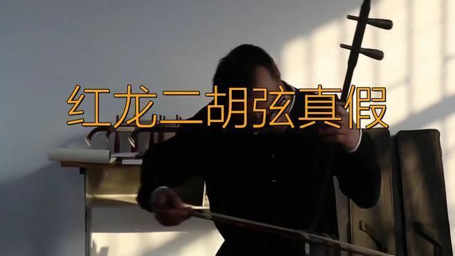 如何辨別真假大湖紅龍？ 如何辨別真假大湖紅龍？ 龍魚百科 第5張