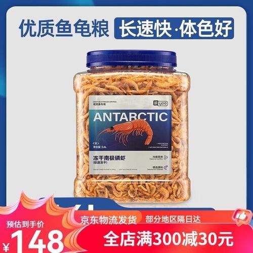 銀龍魚可以吃豬肉嗎圖片