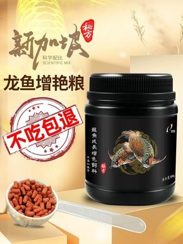 銀龍魚可以吃豬肉嗎圖片