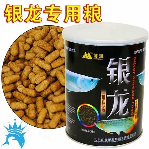 銀龍魚可以吃豬肉嗎圖片